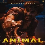 Animal (2023) Video Songs
