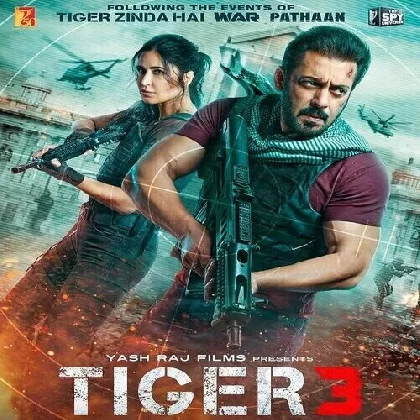 Tiger 3 (2023) Video Songs