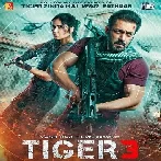Tiger 3 (2023) Video Songs