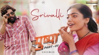 Srivalli - Pushpa Hindi Video Song